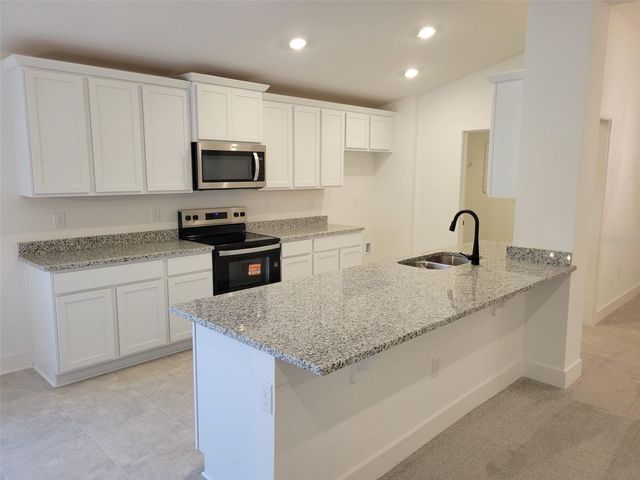 271 VERNY GROVE LANE, Leesburg, FL 34748