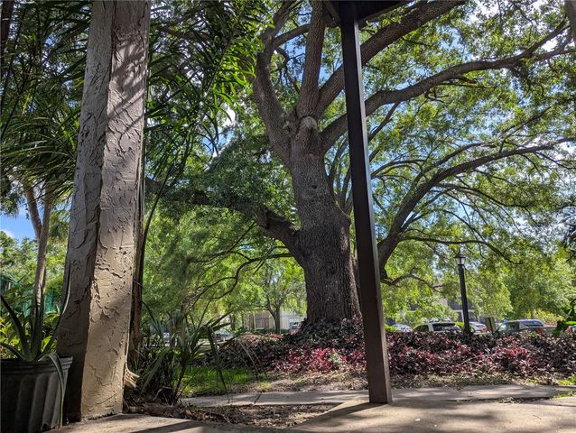 14317 HANGING MOSS CIRCLE 101, Tampa, FL 33613