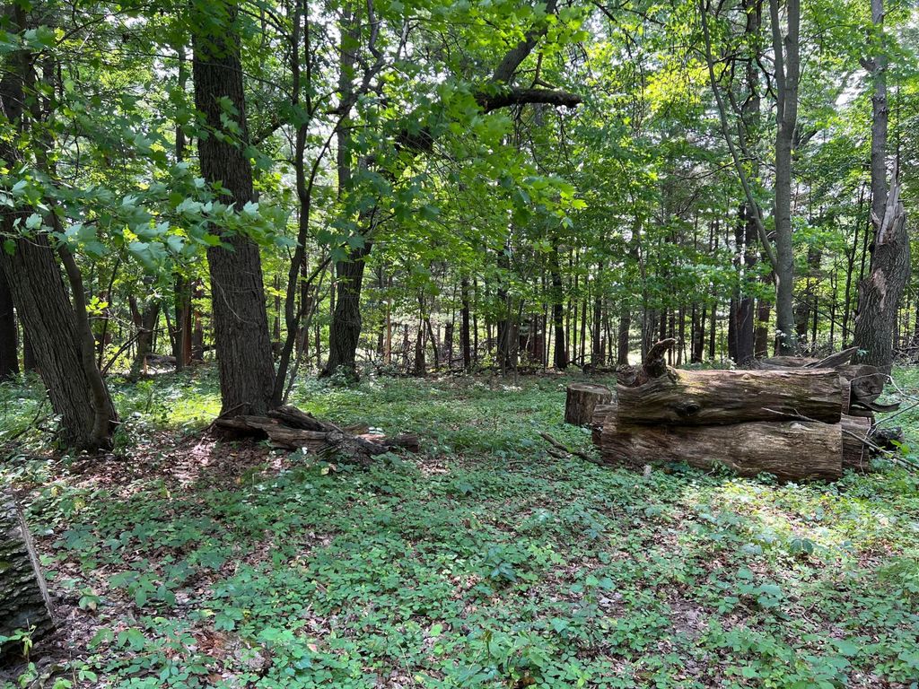 TBD Elmcrest Avenue, Stacy, MN 55079 — photo 2