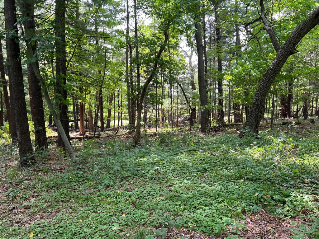 TBD Elmcrest Avenue, Stacy, MN 55079 — photo 5