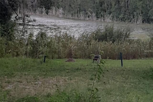 17873 E HIGHWAY 40, Silver Springs, FL 34488
