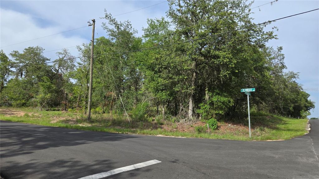 4771 N REDWOOD AVENUE, Hernando, FL 34442