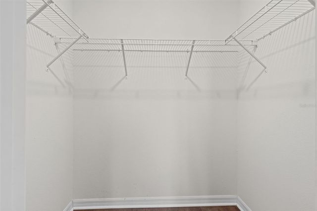 2926 SUNCOAST PLAINS DRIVE, Odessa, FL 33556