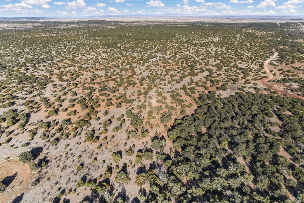 Image 10 of property listing at Subd: MANZANO GRANT S: 31 & 32, Mountainair, NM 87036