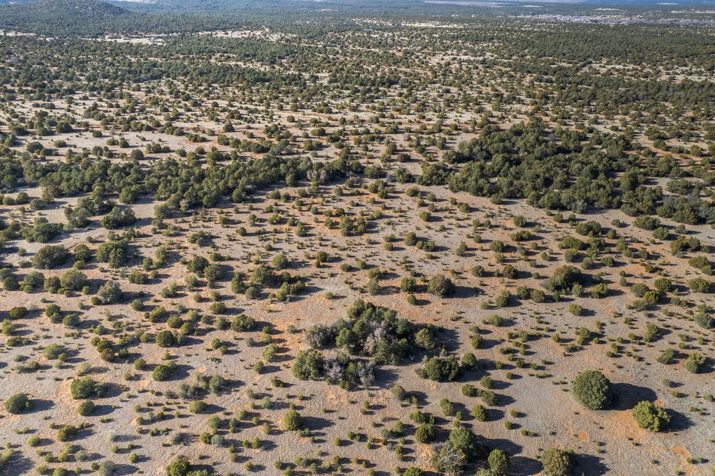 Image 11 of property listing at Subd: MANZANO GRANT S: 31 & 32, Mountainair, NM 87036