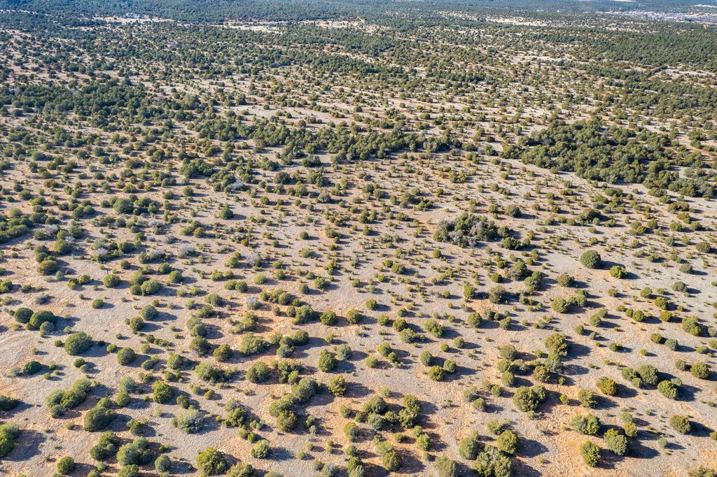 Image 13 of property listing at Subd: MANZANO GRANT S: 31 & 32, Mountainair, NM 87036