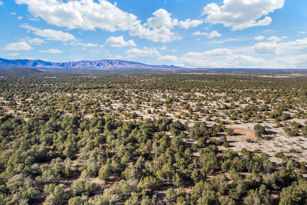 Image 2 of property listing at Subd: MANZANO GRANT S: 31 & 32, Mountainair, NM 87036