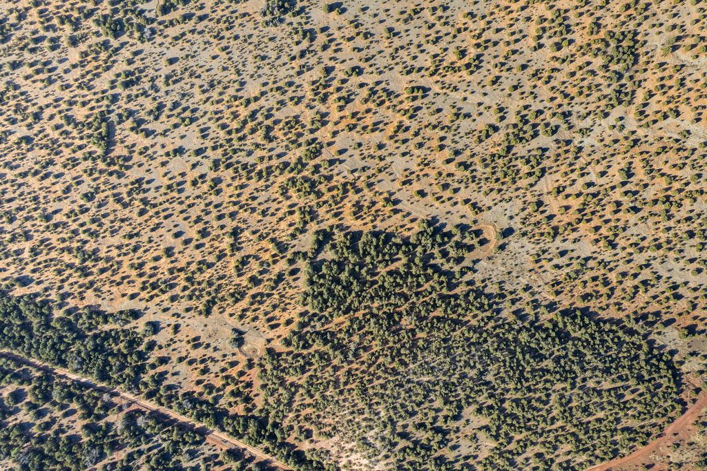 Image 3 of property listing at Subd: MANZANO GRANT S: 31 & 32, Mountainair, NM 87036