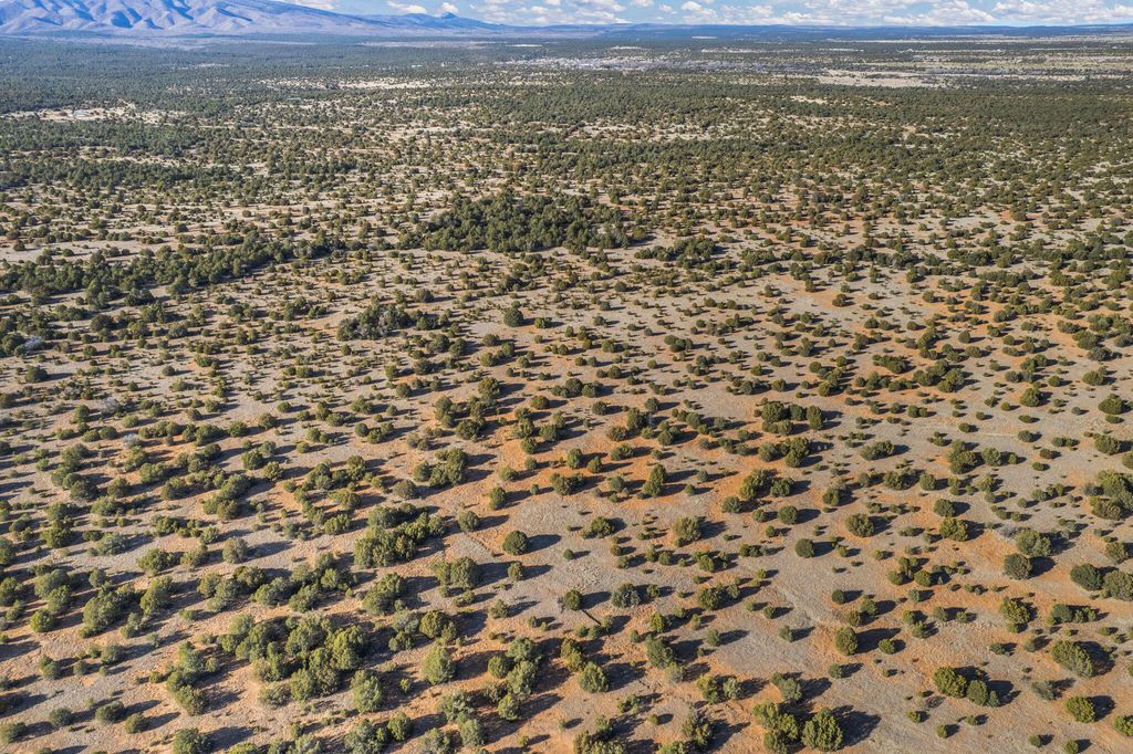 Image 4 of property listing at Subd: MANZANO GRANT S: 31 & 32, Mountainair, NM 87036