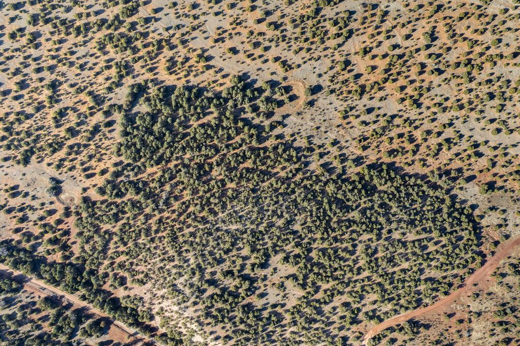 Image 6 of property listing at Subd: MANZANO GRANT S: 31 & 32, Mountainair, NM 87036