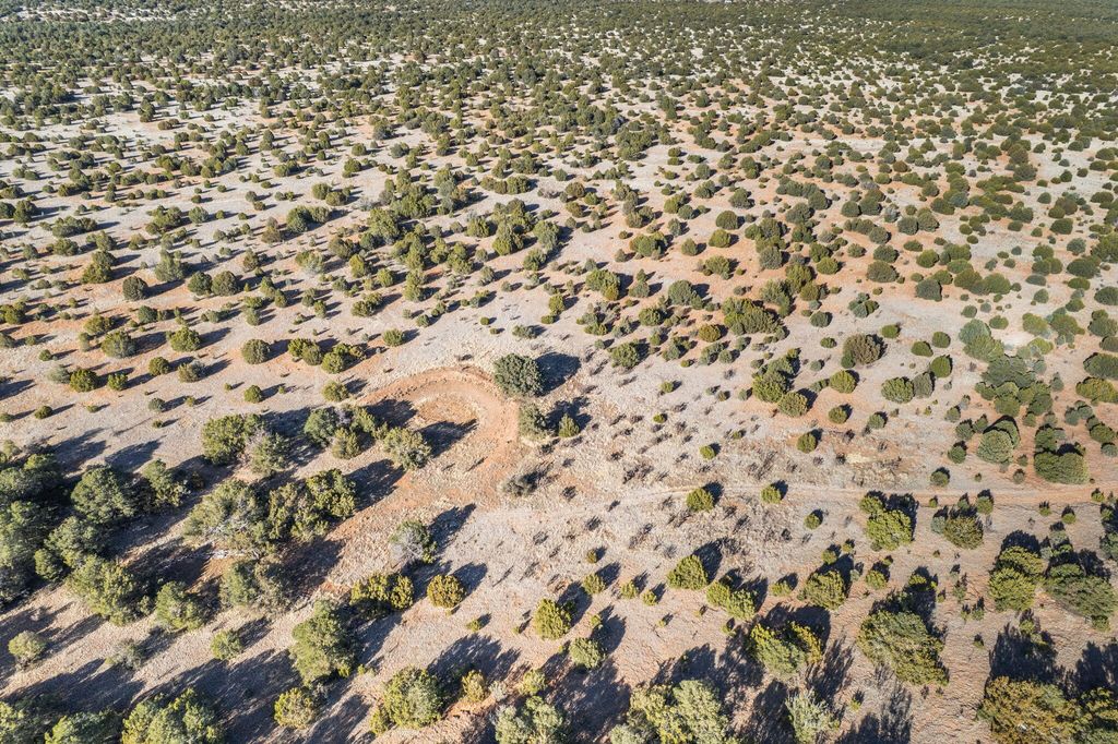 Image 9 of property listing at Subd: MANZANO GRANT S: 31 & 32, Mountainair, NM 87036