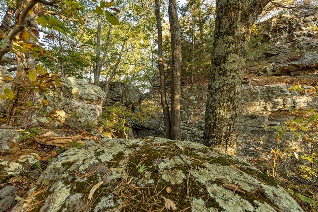 Lot 51 Restore Ridge, Harrison, AR 72601