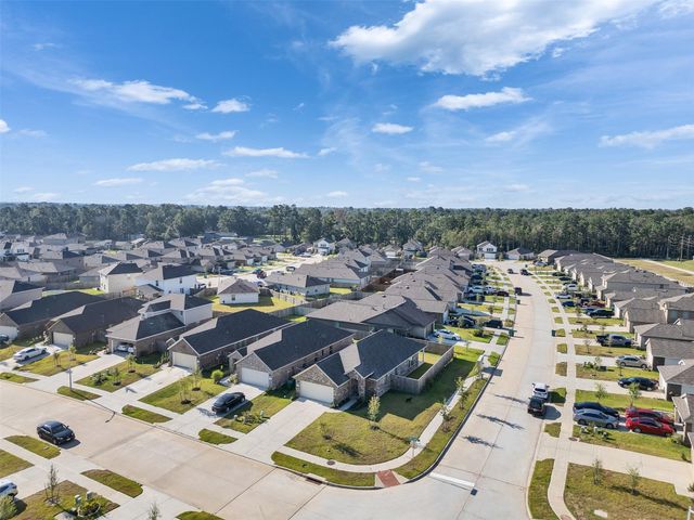 20836 Cropani Shadow Drive, New Caney, TX 77357