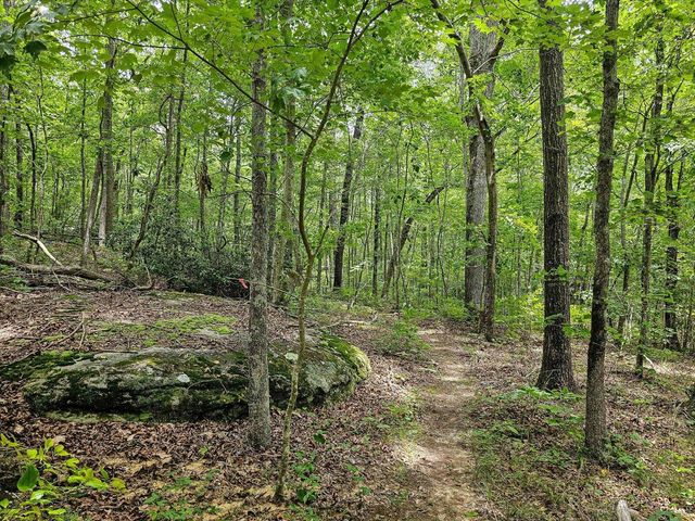 157 Ga-157, Menlo, GA 30731