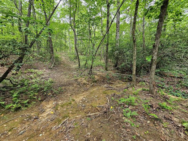 157 Ga-157, Menlo, GA 30731