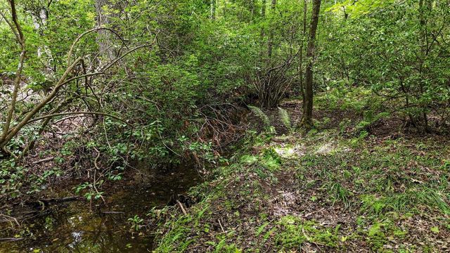 157 Ga-157, Menlo, GA 30731