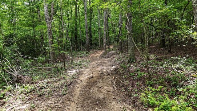 157 Ga-157, Menlo, GA 30731