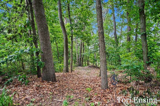 15400 Meddler Avenue, Gowen, MI 49326