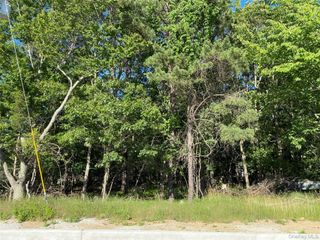 Pleasant Avenue, Medford, NY 11763