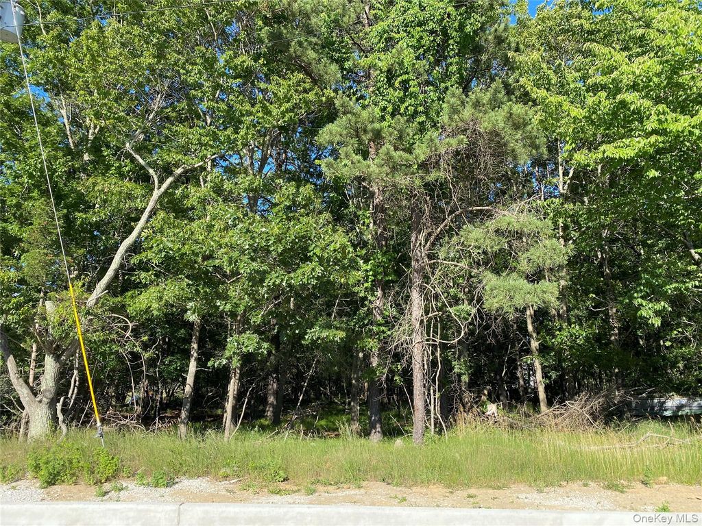 Pleasant Avenue, Medford, NY 11763