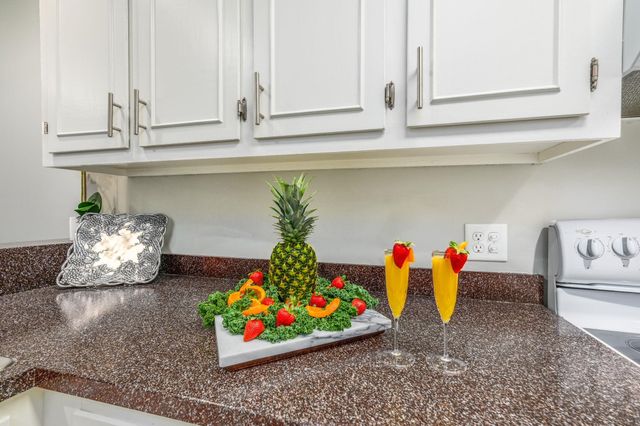 816 9th Ave S Apt 202A, North Myrtle Beach, SC 29582