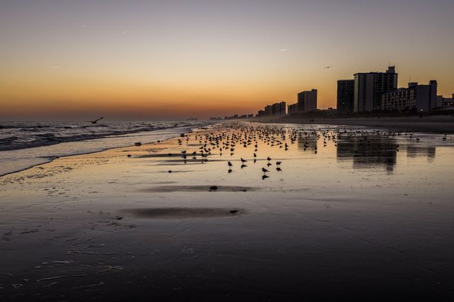 816 9th Ave S Apt 202A, North Myrtle Beach, SC 29582