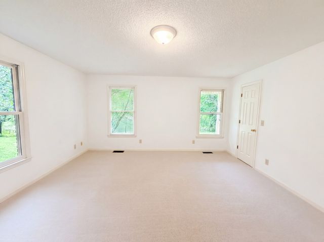 8663 Dog Branch Rd, Mount Pleasant, TN 38474