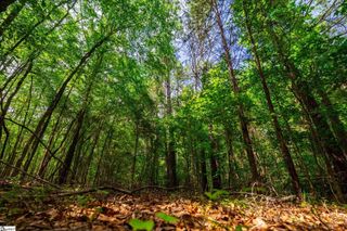 00 Watt Rogers Road, Pelzer, SC 29669