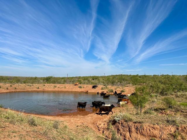 261 FM 261, Spur, TX 79370