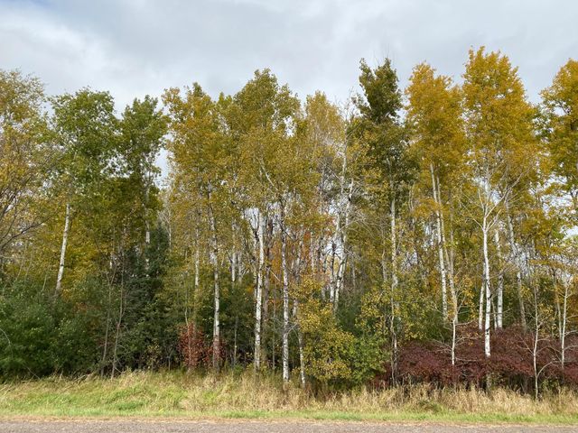 8764 140th Street, Milaca, MN 56353