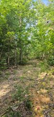 000 Cove Hill Road, Pikeville, TN 37367