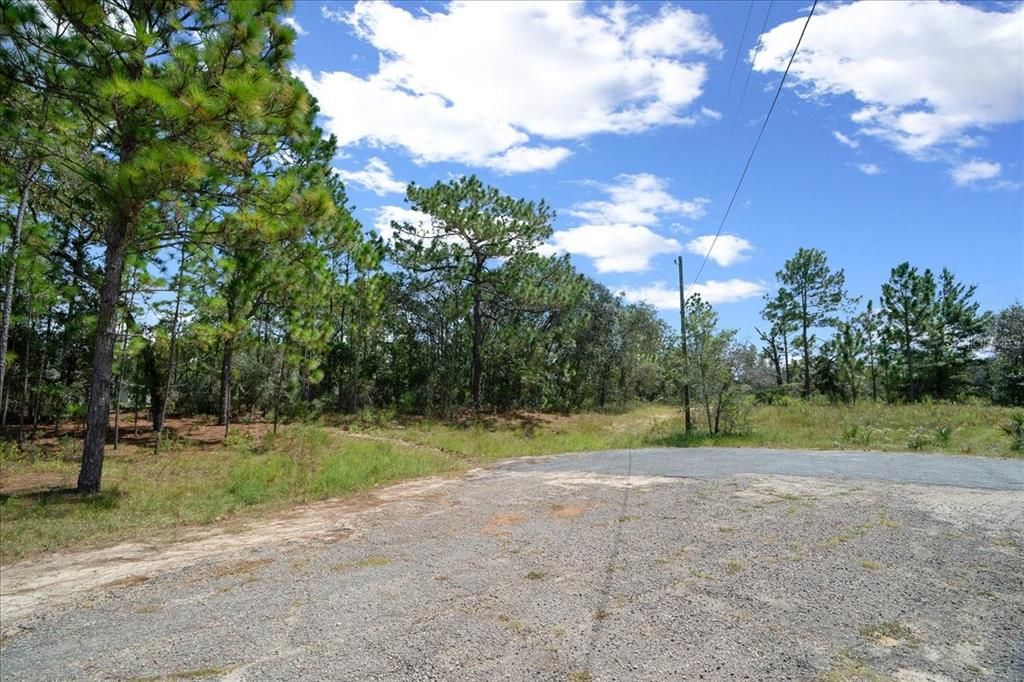 2779 W TRACY COURT, Citrus Springs, FL 34433