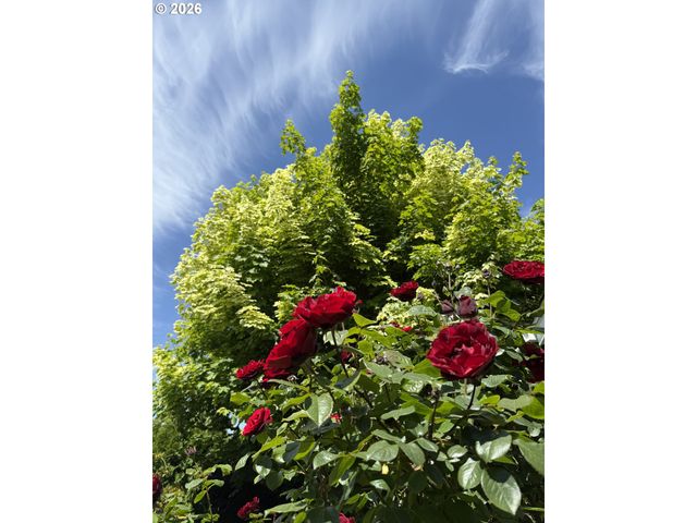 943 OREGON Way, Woodburn, OR 97071