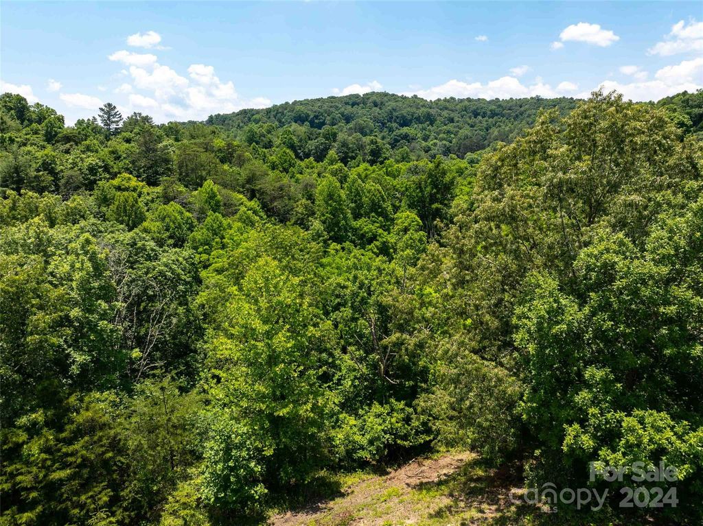 Lot 1 Firefly Ridge 1, Alexander, NC 28701