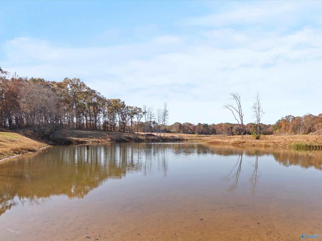 880 County Road 299, Trinity, AL 35673