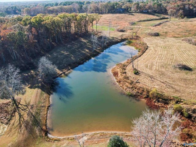 880 County Road 299, Trinity, AL 35673