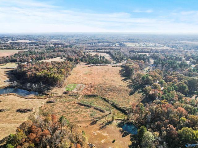 880 County Road 299, Trinity, AL 35673