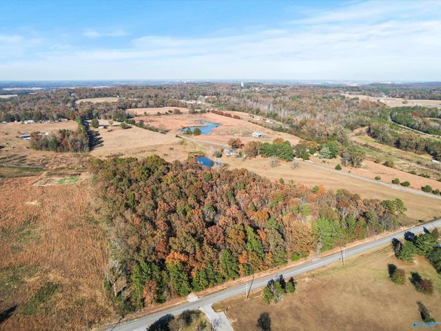 880 County Road 299, Trinity, AL 35673