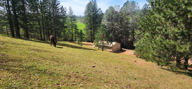 2410 Willow Creek Ct, Cool, CA 95614