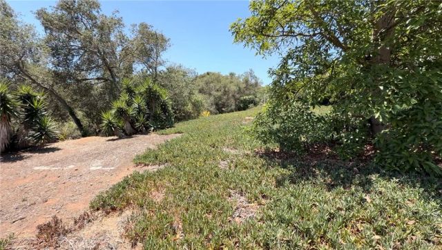 3918 Valle Del Sol, Bonsall, CA 92003