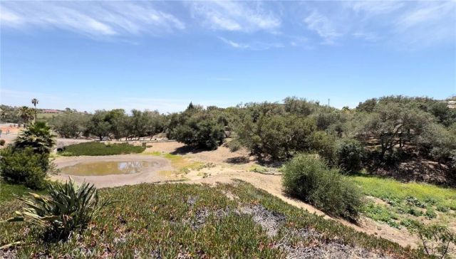 3918 Valle Del Sol, Bonsall, CA 92003