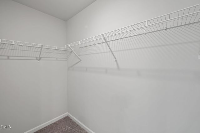 1017 Tea Time Trail, Durham, NC 27703