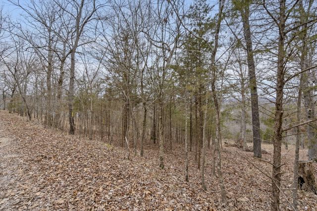 Lot 7 Eagle Bluff Estates, Eagle Rock, MO 65641