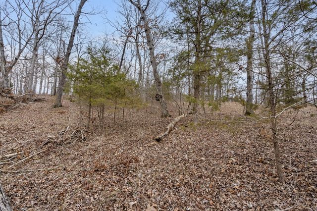 Lot 7 Eagle Bluff Estates, Eagle Rock, MO 65641