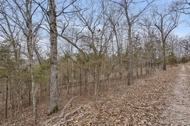 Lot 7 Eagle Bluff Estates, Eagle Rock, MO 65641