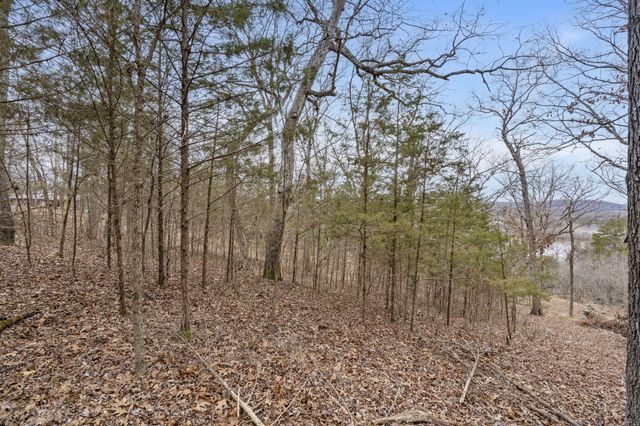 Lot 7 Eagle Bluff Estates, Eagle Rock, MO 65641