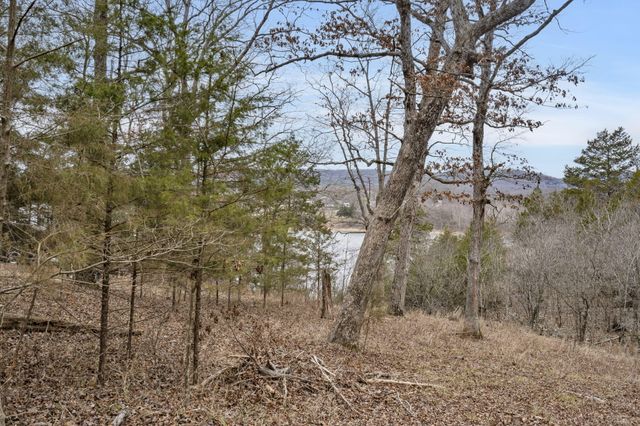Lot 7 Eagle Bluff Estates, Eagle Rock, MO 65641