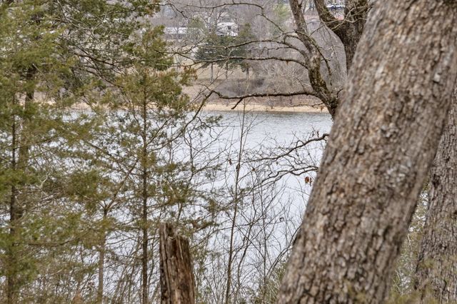 Lot 7 Eagle Bluff Estates, Eagle Rock, MO 65641