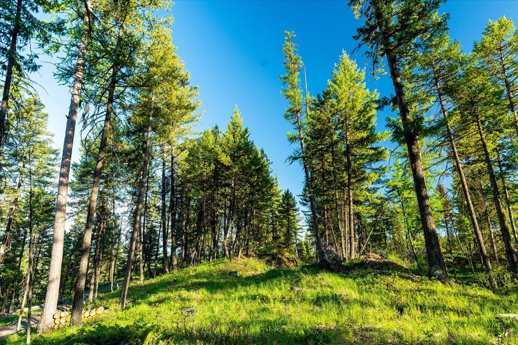 31 Forest Path Drive, Whitefish, MT 59937 photo 81