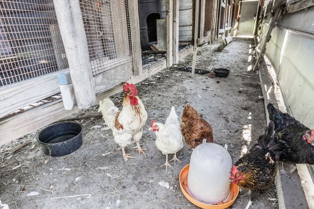 475 Fowler Ford Rd, Portland, TN 37148